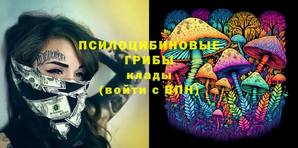 эйфоретик Баксан