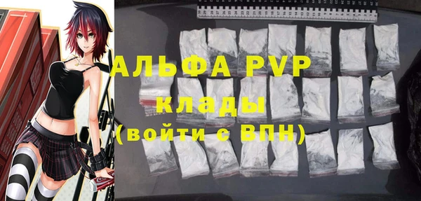 эйфоретик Баксан