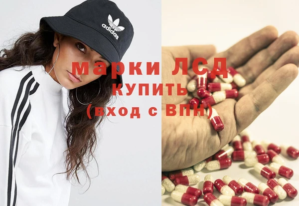 эйфоретик Баксан